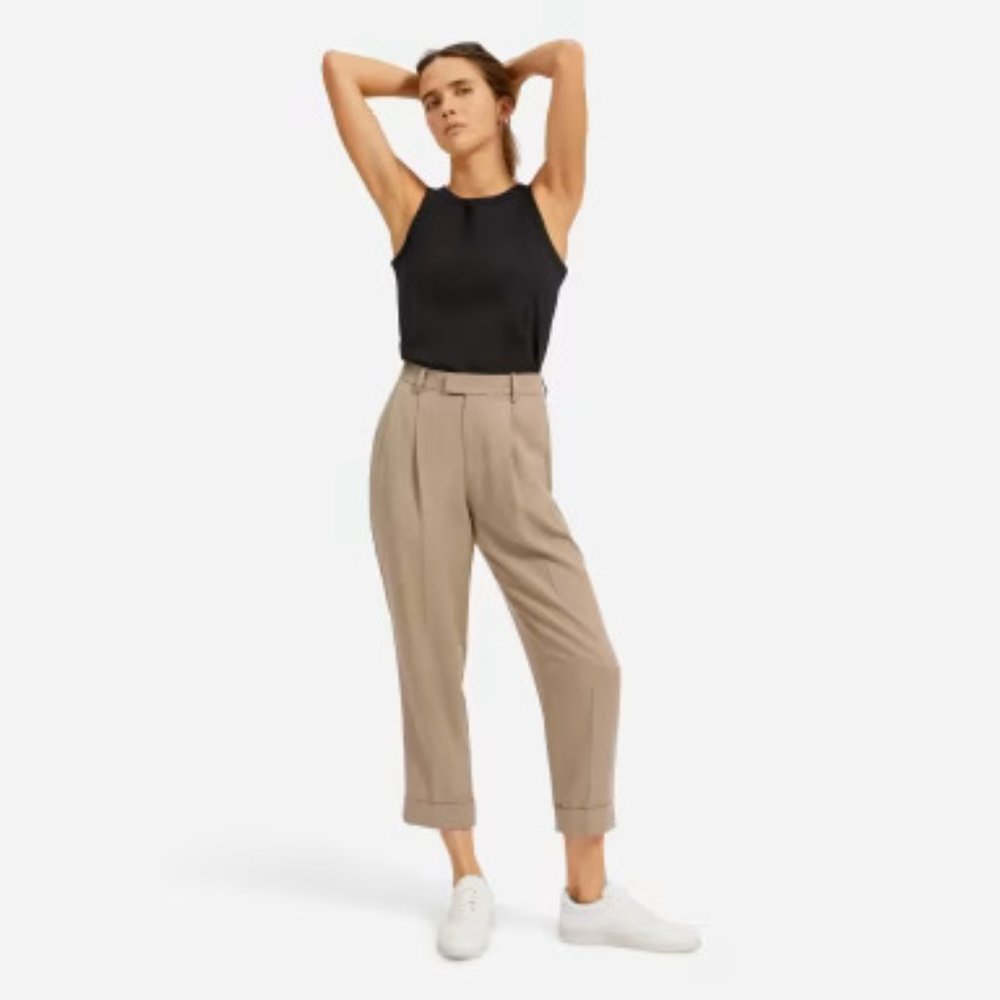 Everlane - The Put-Together Pleat Pant